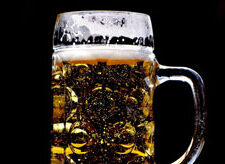 Politiker-Derblecken am Nockerberg